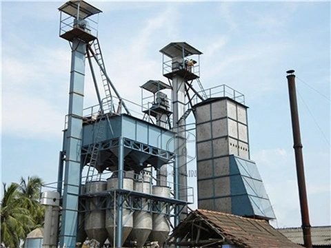 10t_small_parboiled_rice_plant-1