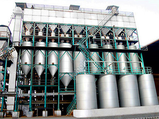 200ton_rice_parboiling_machine_cost
