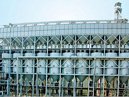 200ton_rice_parboiling_machine_supplier