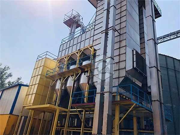 20ton_paddy_boiling_machines_cost