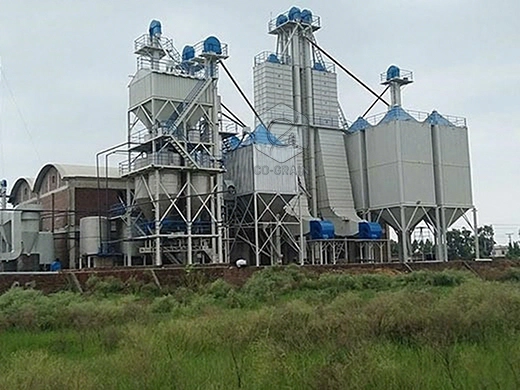 20ton_paddy_boiling_machines_manufacturer