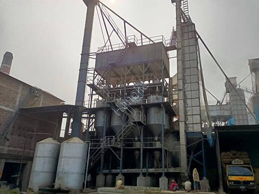 20ton_paddy_boiling_machines_price