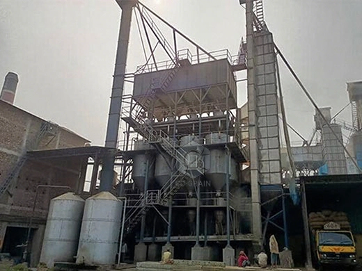 20ton_paddy_boiling_machines_price
