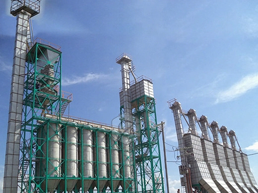 50ton_boiled_rice_mill_plant