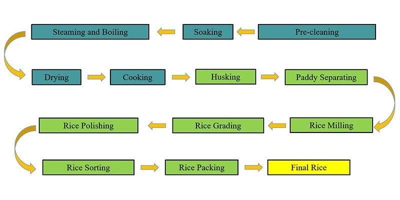 rice_parboiling_machines_processing_process