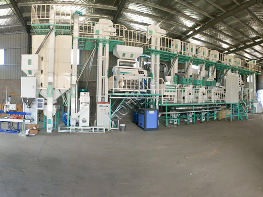 100ton_rice_mill_project_price
