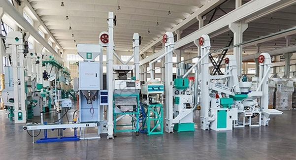 15T_rice_process_machine_price