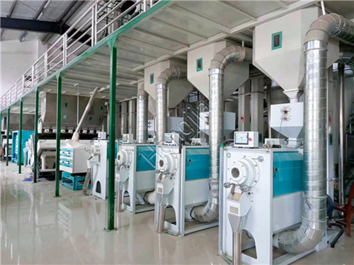200t_rice_mill_equipment_manufacturer