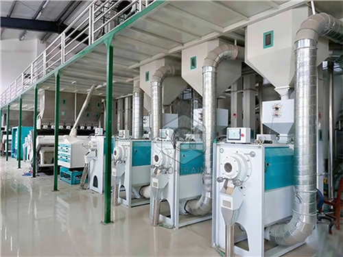 200t_rice_mill_equipment_manufacturer