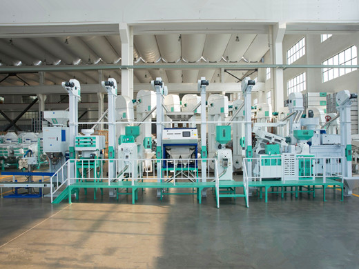 8 Ton/Hour Auto Rice Mill Plant Rice Mill Machine for Rice