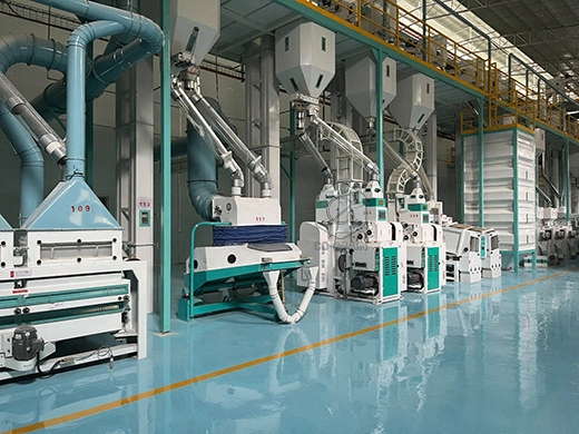 300ton_rice_mill_equipment