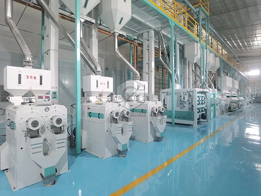 300ton_rice_mill_equipment_cost