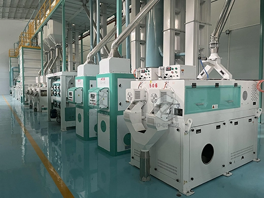 300ton_rice_mill_equipments_for_sale