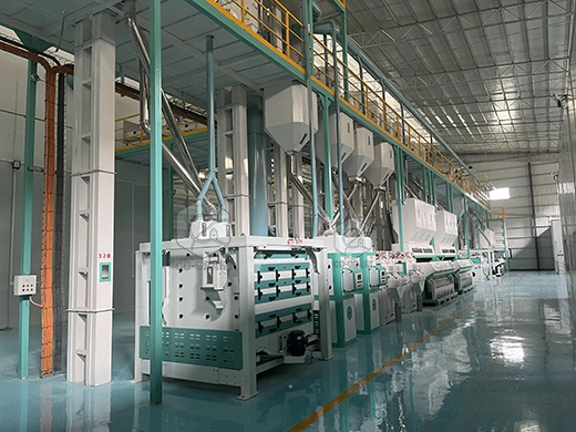 300ton_rice_mill_equipments_supplier