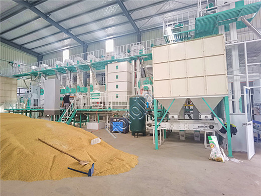 40t_rice_mill_machines_supplier