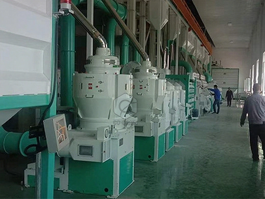 500ton_rice_mill_plants_for_sale