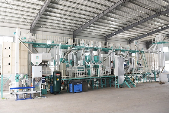 60ton_rice_mill_cost