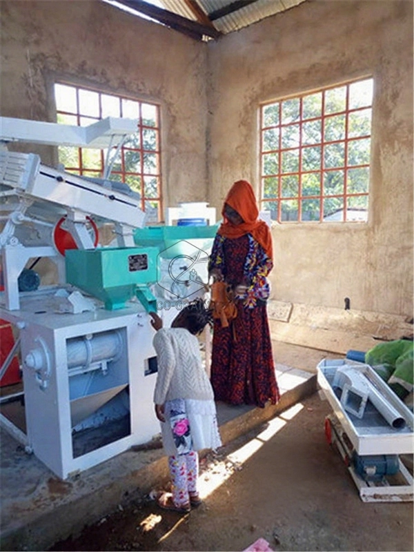 Tanzania_15T_rice_processing_plant