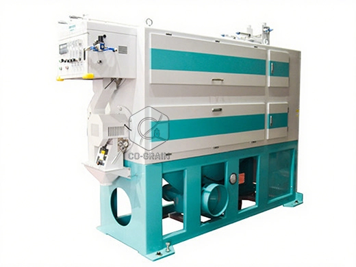 double_rice_polisher_supplier