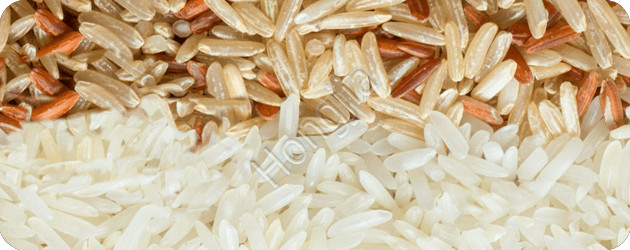 rice_polishing_machine_cost