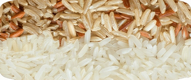 rice_polishing_machine_cost