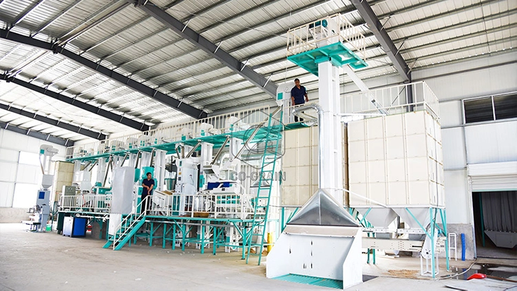 rice_processing_equipments _how_to_choose