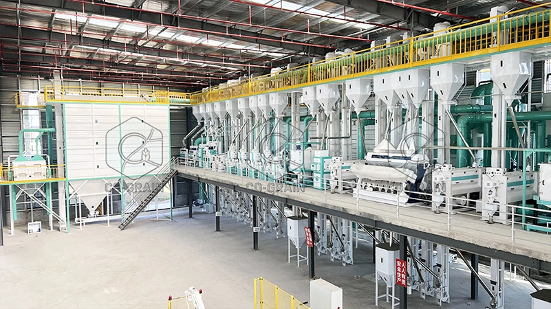rice_processing_machines_how_to_choose
