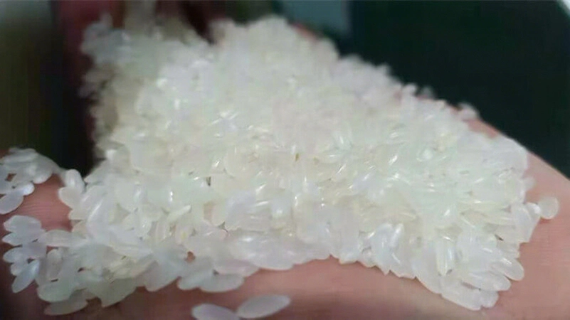 rice_processing_mill _how_to_choose