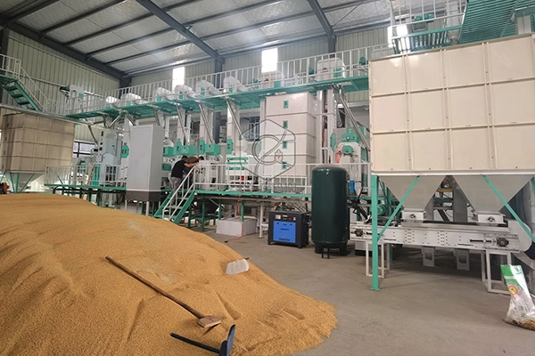rice_processing_plants_installation