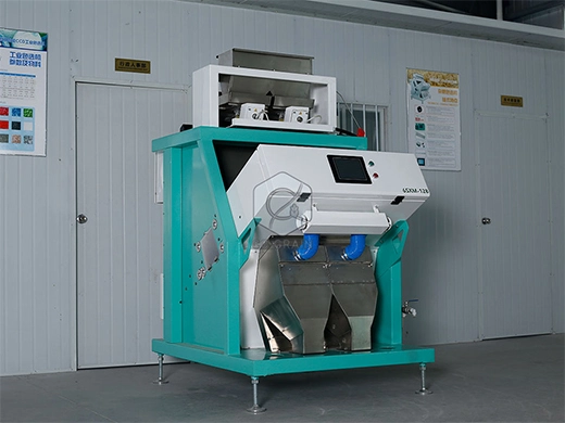 sx_128_rice_color_sorter_supplier