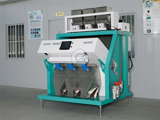 sx_192_rice_sorting_machine_manufacturer