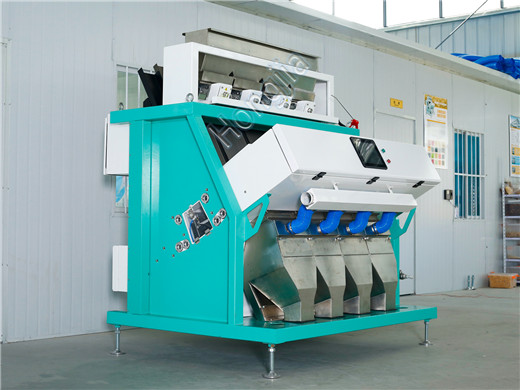 sx_256_rice_sorting_machine_for_sale