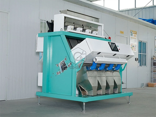 sx_256_rice_sorting_machine_for_sale