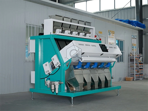 sx_320_rice_sorting_machine_for_sale