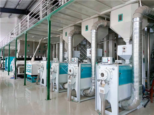 200ton_rice_mill_equipment_manufacturer