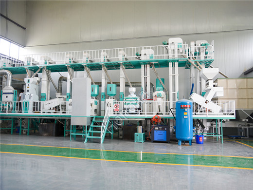 40t_rice_mill_machines_manufacturer
