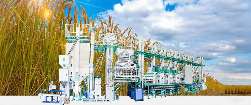 100TPD_rice_mill_plant_HONGJIA_Grain_Machinery_Equipment_Co_Ltd