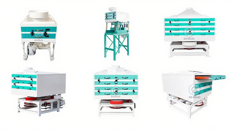 different_types_rice_grader