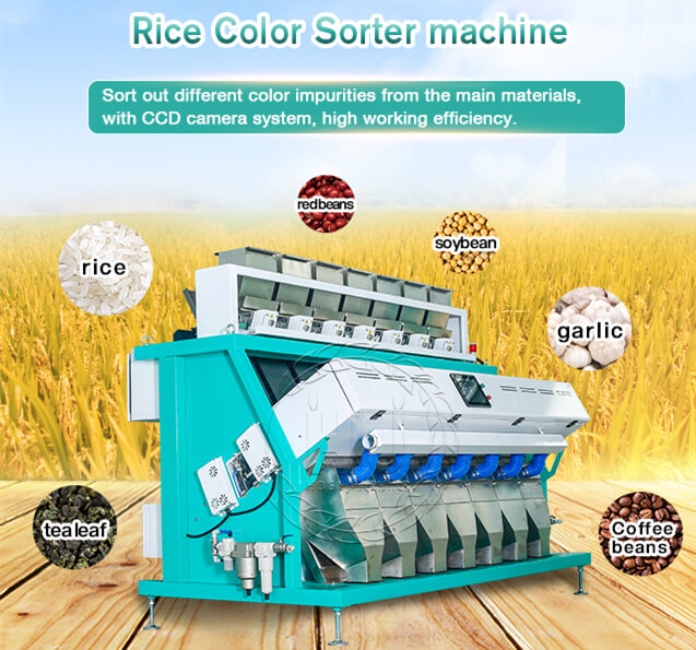 rice_color_sorter_for_rice_mill_plant