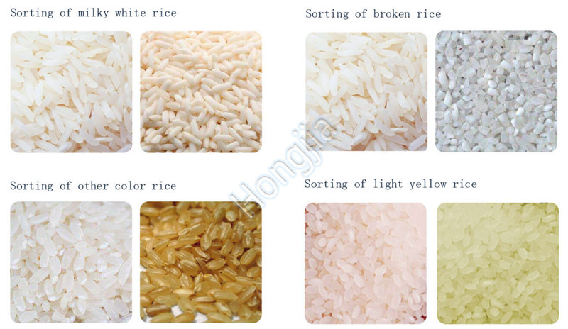 rice_color_sorters_cost