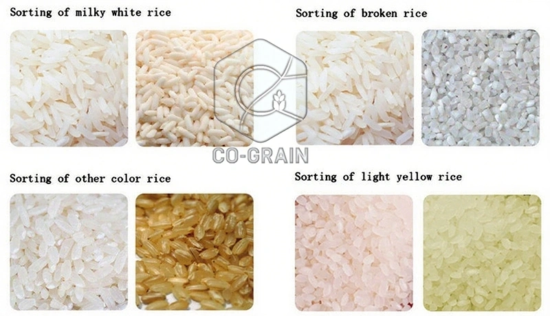 rice_color_sorters_cost