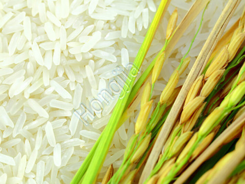 rice_mill_plant_in_philippines