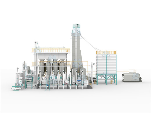 rice_parboiling_machine_manufacturer