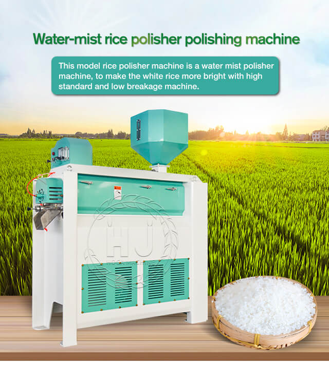 rice_polisher_for_rice_mill_plant