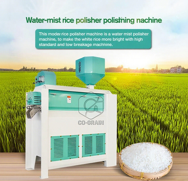 rice_polisher_for_rice_mill_plant