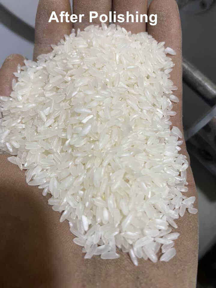 rice_polisher_supplier