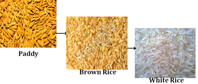 rice_parboiling_machine_for_sale