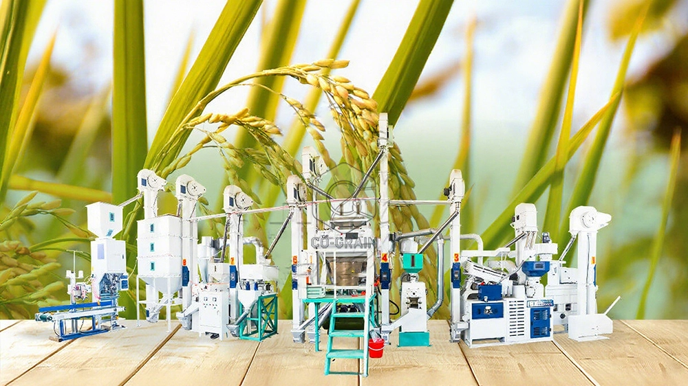25tpd rice mill plant