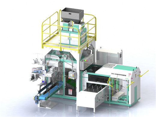 fully_automatic_rice_packing_machine (1)