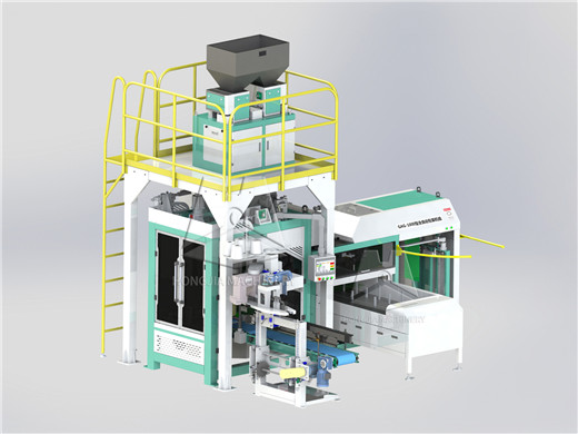 fully_automatic_rice_packing_machine (4)